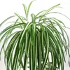 Decorative Flowers 65cm Artificial Plants Wall Hanging Chlorophytum Potted Green PVC Fake Simulation Flower Living Room Decor