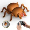 Electric RC Animals 2 4GHz RC Stunt Spider Prank Jokes Infrared Remote Control Electric Toys with LED Lights 360 Rotating for Halloween 230303