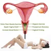 Uova / proiettili Giada naturale Palline per massaggio vaginale Kegel Donne Vagina Muscle Exerciser Recupero dopo il parto Giocattoli sessuali per donne Sex Shop L230306