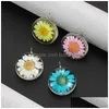 Charms New Arrival Dry Flower Glass Pendant Bracelet Necklace 4 Colour Trendy Charm Vitality Of Lifejewelry Gift For Women Men Y Dro Dhygp