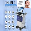 Professional 14 In One Beauty Equipment Microdermabrasion Machine RF Face Care Deep Cleaning Hydra Dermabrasion BIO Firming Oxygen Clean Device For Sale