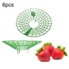 Tuinbenodigdheden andere 1 -stcs fruitstandaard Strawberry Planting Balkon Support Plant Stands Flower Tree Holder Gardening