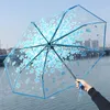 Umbrella automática de flor de cerejeira transparente 3 dobras de chuva de chuva de vento garotas Clear sakura guarda -chuva dobrável TH0818