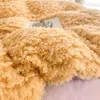 Set di biancheria da letto set di peluche invernale mantieni il piumino in velluto per velluto in velluto morbido foglio di foglio di foglio di foglio di cuscinetti addensare