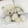 Chien Vêtements Manteau Pet Chat Chiot Pyjamas D'été Filles Caniche Bichon Teddy Vêtements Coton Garçon Bouledogue Softfeeling Chemises