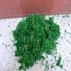 Decorative Flowers High Quatity Green Moss Be Used For Home Decoration And Flower Arrangement Decration