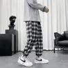 Herenbroek Zomer lichtgewicht Plaid Pants Men Hip Hop Oversized Casual Pants Koreaanse harem zweetbroek Harajuku Fashion Streetwear Jogger Men 230307