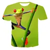 Herren-T-Shirts, Sommer, 3D-Animal-Print, kurzärmeliges T-Shirt für Männer und Frauen, Kinder-Frosch-Muster, O-Ausschnitt, atmungsaktive Sport-Tops.