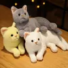 Plush Dolls 4 Colors 31cm INS Like Real Prone Cat Plush Doll Stuffed Pure Colors Grey White Yellow Kitten Toy Pets Animal Kids Gift 230307