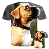 Camisetas masculinas verão 3d animal fofo de animais de estimação Mulheres crianças boxer cão rua harajuku vento respirável leve Durável Tops de esportes de moda