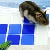Fournitures pour petits animaux tapis de refroidissement pour animaux de compagnie été verre pierre Hamster lit Chinchilla Pad Cage maison produit