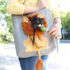 Köpek Seyahat Açık havada sevimli aslan tuval çanta s outcrop tarzı tek omuz kedi küçük evcil hayvan tote 230307