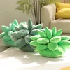 Planta suculenta creativa almohada de peluche de juguete suculenta muñeca decoración cojín hogar sofá almohada ornamento regalo UPS o DHL Spot al por mayor