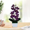 Decorative Flowers Artificial Flower Bright-colored PVC Fake Handmade Butterfly Orchid Display Handcraft For Home