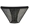 Underpants Men See-through Lace Botoms Pants Underwear Skimpy Shorts Briefs Calzoncillos Gay Mens Bikini Sexy