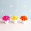 Decorative Flowers 14x14cm Artificial Grass Ball White Potted Plants Bonsai Home Garden El Office Living Room Desktop Mini Party Supply