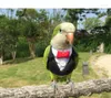 Other Bird Supplies Parrot Clothes Original Hand-made Custom Cute Suit Blazers For Cockatiel Sun Parakeet Monk Macaw Cockatoo