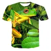 Herren-T-Shirts, Sommer, 3D-Animal-Print, kurzärmeliges T-Shirt für Männer und Frauen, Kinder-Frosch-Muster, O-Ausschnitt, atmungsaktive Sport-Tops.