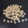 Articoli di novità Dimensioni del mare: 1,8-3 cm 100 pezzi Mini stelle marine Decorazione artigianale Stelle naturali Fai da te Beach Cottage Decorazioni per matrimoni Artigianato