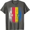 T-shirts pour hommes Pologne Ukraine Polonais Drapeau ukrainien Hommes T-shirt à manches courtes Casual Coton O-Cou Chemise d'été