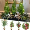 Fleurs décoratives cadeau base en bois décoration de la maison arrangement floral branches de pin plante artificielle feuilles de verdure baies rouges de Noël