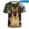 Heren t shirts 2023 Persoonlijkheid shirt 3d print Duitse herder t-shirt mannen/vrouwen schattige hondenkleding jonge zomer