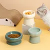 Alimentadores de tigelas de cachorro CAT CERAMICAS ALTO PÉLOTO PEQUENO ALIMENTOS ALIMENTOS DE ÁGUA PRODUÇÃO DE PENOS DE PRIMEIROS COMA CATOS CATOS PUNADO ALIMENTO REALIZAÇÃO 230307