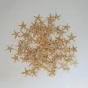 Yenilik Ürünleri Deniz Boyutu: 1.8-3cm 100pcs Mini Denizyıldızı Zanaat Dekorasyon Doğal Yıldızlar Diy Plajı Körit