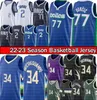 Luka Doncic Giannis Antetokounmpo Basketball Jersey Men 77 34 City 2022 2023 Edition Shirt Vest Black White Blue Best Buck Jerseys