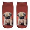 Women Socks Funny Cute Cartoon 3D Poodle Pug Dog Print Kawaii Cotton Happy Japanese Harajuku Low Cut Ankel