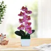 Decorative Flowers Artificial Flower Bright-colored PVC Fake Handmade Butterfly Orchid Display Handcraft For Home