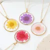 Pendant Necklaces Fashionable Bohemian Natural Dry Flower Transparent Round Resin Necklace Color Eternal Life Clavicle Chain