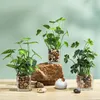 装飾的な花シミュレーショングリーンディル植物ポットジューシーな小さな盆栽ポットフェイクオーナメント