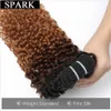 Wig Caps iskra 134 wiązki afro perwersyjne kręcone ludzkie przedłużenia włosów Ombre Brazilian 100 ludzkie splot włosów Blond Brown Black Remy J230306