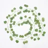 Dekorative Blumen, Blätter, Imitation von Efeu, Weinrebenstreifen, Grün, 12 Stück, 2 Meter, falsche Herkunft