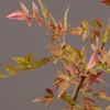 Dekorativa blommor MBF 110 cm högkvalitativa konstgjorda nandina växter grenar falskt bambusträd stora gröna plastblad för hemfest bröllop