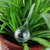 Attrezzature per irrigazione 5 pezzi Dispositivo automatico Globi Vacanza Pianta d'appartamento Vaso per piante Bulbi Innaffiatore da giardino Fiore Gocciolamento d'acqua