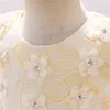 Robes de fille Champagne enfant en bas âge fleur anniversaire robe en dentelle robe de mariée enfants tenue de fête princesse rose bébé