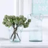 Kwiaty dekoracyjne 3 szt. Symulacja/partia Zielona cierń kulka plastikowe owoc Fałszywe rośliny DIY Dekoracja domowa