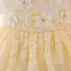 Robes de fille Champagne enfant en bas âge fleur anniversaire robe en dentelle robe de mariée enfants tenue de fête princesse rose bébé