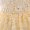 Abiti da ragazza Champagne Toddler Flower Birthday Lace Dress Abito da sposa Kids Party Wear Princess Pink Baby