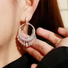 Серьги Fxlry Fashion Cubic Циркония кисточки чары длинные для женщин свадебные свадебные украшения