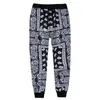 Pantalon pour hommes matelassé polyester bandana Paisley pantalon jogger hommes femmes pantalons de survêtement survêtement harajuku pantalon printemps hip hop streetwear 230307