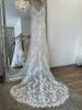 Mermaid Wedding Dresses Bridal Gown Lace Applique Sweep Train Spaghetti Straps Backless Custom Made Vestidos De Novia Plus Size Beach Garden