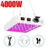 Grow Lights SMD 2835 Fitolamp 4000W 5000W LED Plant Light Full Spectrum Panel Phyto Lamp AC 220V Indoor Greenhouse Growing Bulb EU Plug