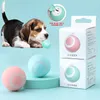 Jouets pour chiens à mâcher, balle intelligente électrique pour s, drôle, roulement automatique, jeux pour chiots, accessoires pour animaux de compagnie, 230307