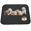 Kennels Pens Plaid Dog Bed Mat Waterproof Training Pee Blanket Washable Pet Toilet Mats Antislip Cats Puppy Stool Pad For Car Sofa Dhg4C