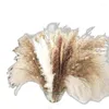 Fiori decorativi A63I Boho Decor Pampas Erba Fluffy Floral 80 steli Disposizioni secche Pampas Wheat Limonium4041467