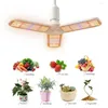 Grow Lights X LED -ljus 150W Varm fullspektrum Växtens dubbla lamplampor Chandelier för inomhushydroponisk odling