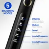 칫솔 Seago SG507B Sonic Electric Toothbrush 성인 타이머 브러시 USB 충전식 전자 칫솔 헤드 교체 홀더 선물 230308